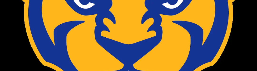 Pittsburgh Panthers